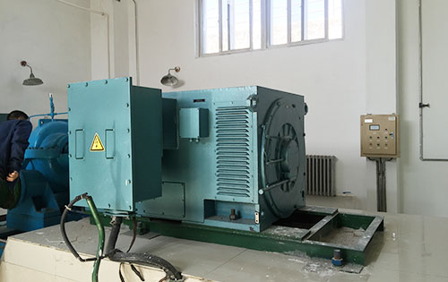 Y800-16某水电站工程主水泵使用我公司高压电机
