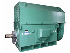 Y800-16Y系列6KV高压电机